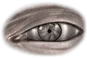 Hudson Lab iris logo